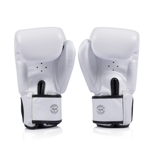 Fairtex Universal Boxing Gloves BGV1C-PLUS