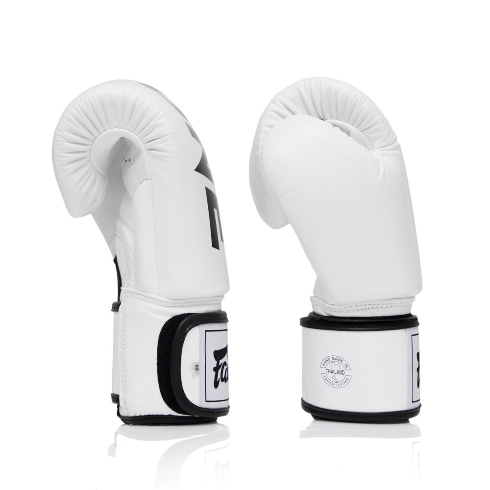 ONE X Fairtex Boxing Gloves