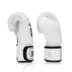 ONE X Fairtex Boxing Gloves