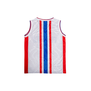 Fairtex Polyester Jersey - JS62
