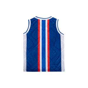 Fairtex Polyester Jersey - JS62