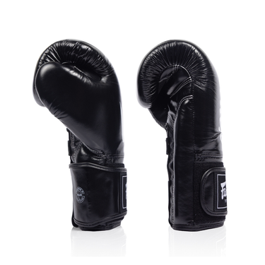 Fairtex Titan Boxing Gloves