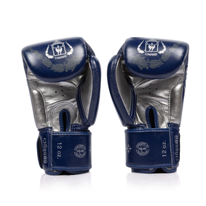 Fairtex x Lumpinee Stadium Boxing Gloves BGV-Lumpinee04