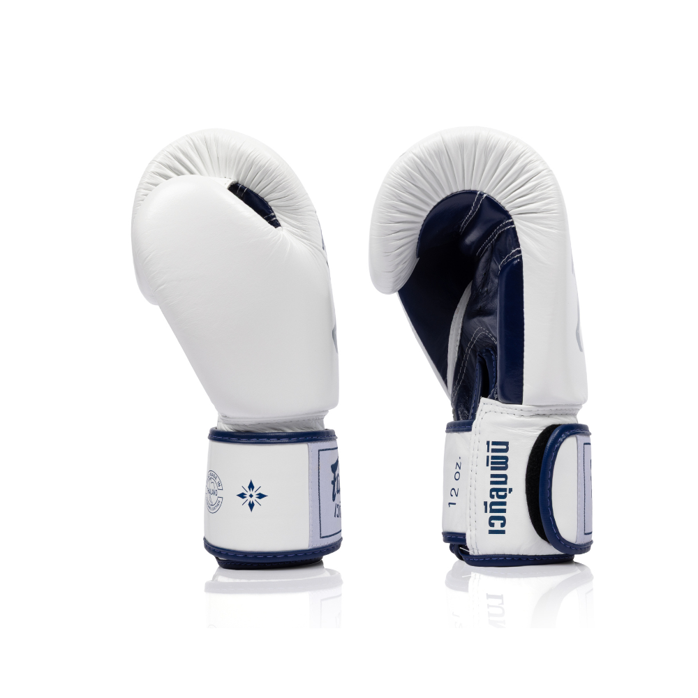 Fairtex x Lumpinee Stadium Boxing Gloves BGV-Lumpinee04