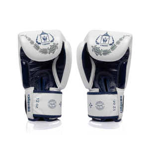 Fairtex x Lumpinee Stadium Boxing Gloves BGV-Lumpinee04