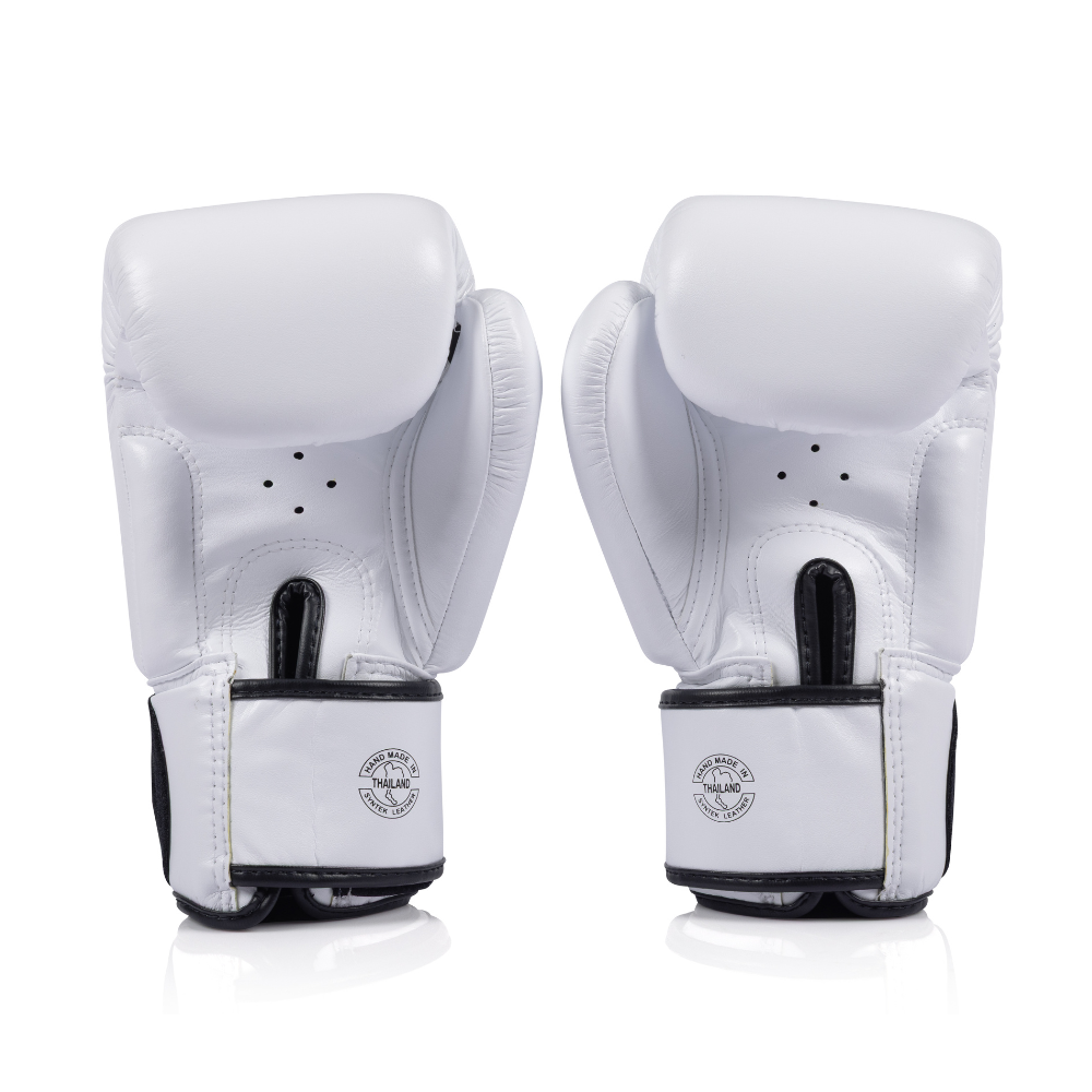 Fairtex Universal Boxing Gloves BGV1C-PLUS
