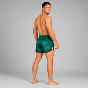 Fairtex Muay Thai Shorts - BS1913 TONNA
