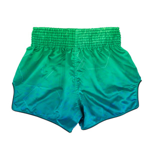 Fairtex Muay Thai Shorts - BS1953 Quantum