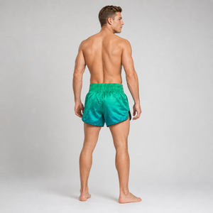 Fairtex Muay Thai Shorts - BS1953 Quantum