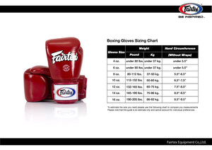 ONE X Fairtex Boxing Gloves