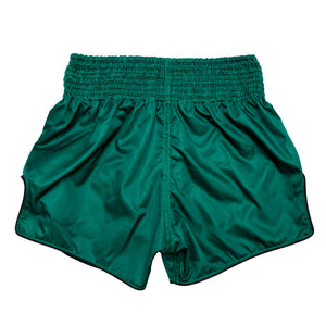 Fairtex Muay Thai Shorts - BS1913 TONNA