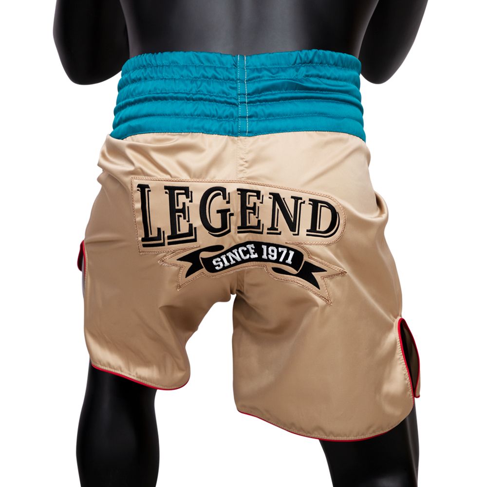Fairtex Boxing Trunks - BT2010 "Vintage"