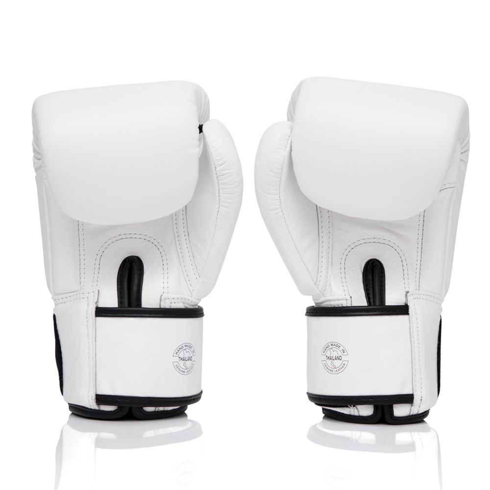 ONE X Fairtex Boxing Gloves