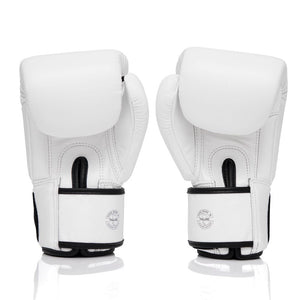 ONE X Fairtex Boxing Gloves